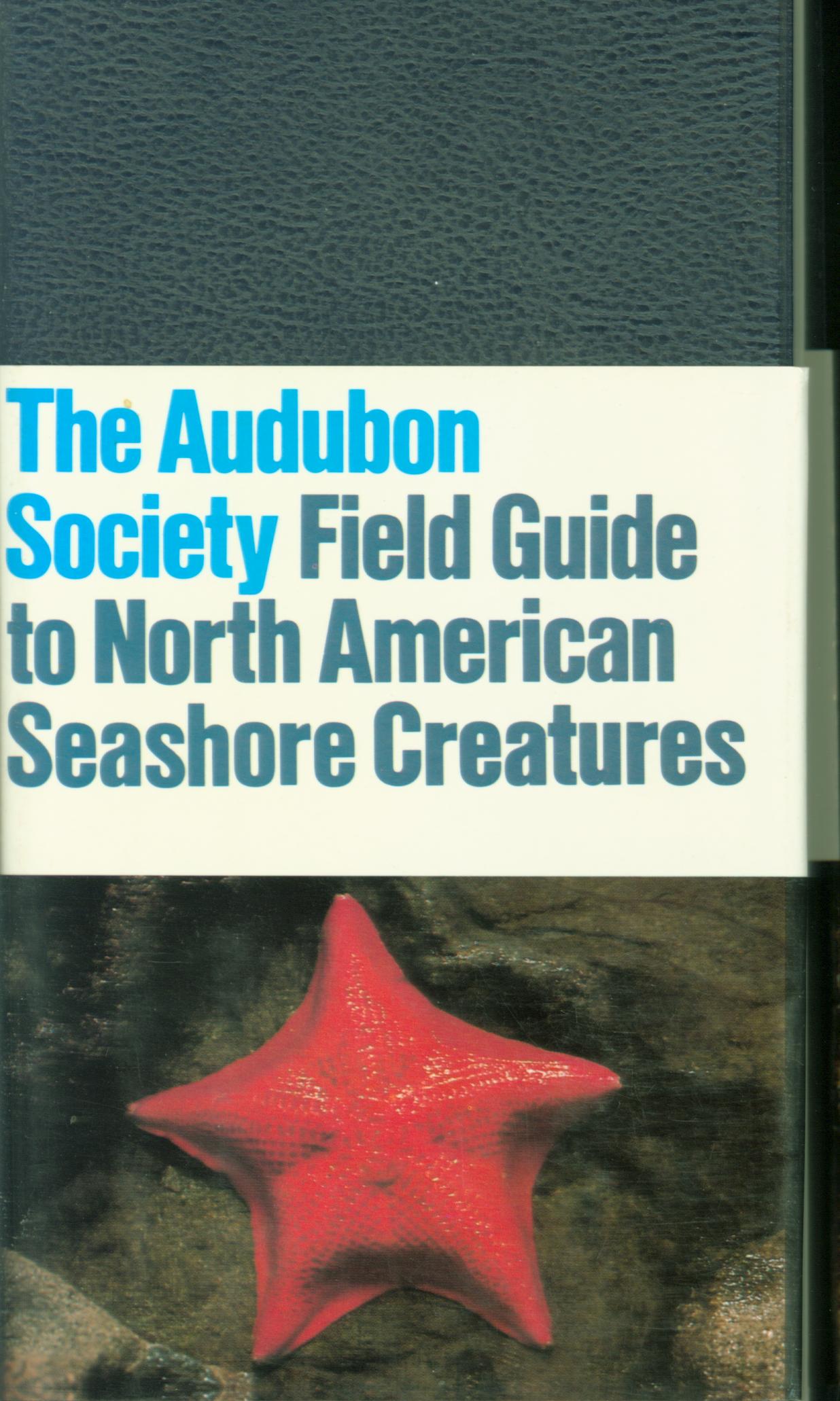 FIELD GUIDE TO NORTH AMERICAN SEASHORE CREATURES: The Audubon Societ